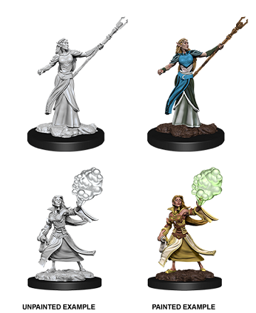 D&DNMUM Elf Sorcerer Female W12