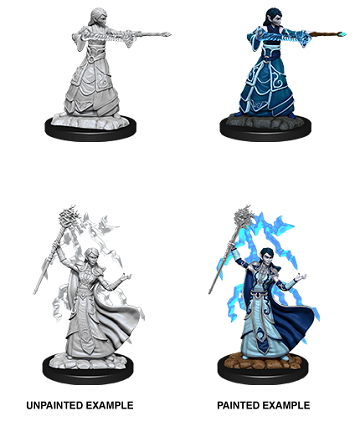 D&DNMUM Elf Wizard Female W12