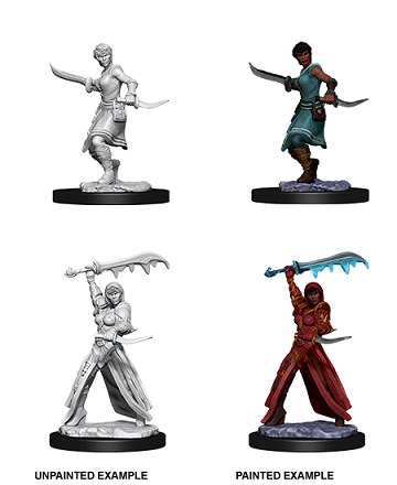 D&DNMUM Female Human Rogue W10