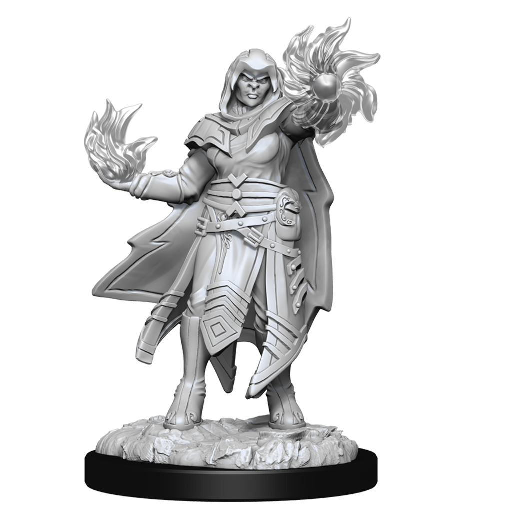 D&DNMUM Hobgoblin Fighter Male & Hobgoblin Wizard Female W15