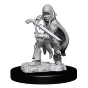 D&DNMUM Halfling Rogue Male W13