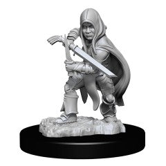 D&DNMUM Halfling Rogue Male W13