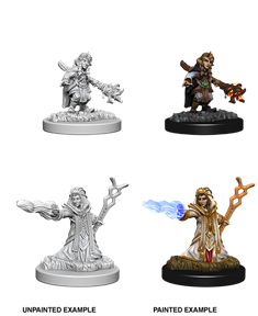D&DNMUM Gnome Wizard Female W6