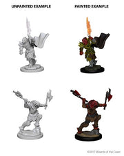 D&DNMUM Dragonborn Fighter Female W4