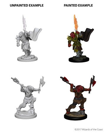 D&DNMUM Dragonborn Fighter Female W4