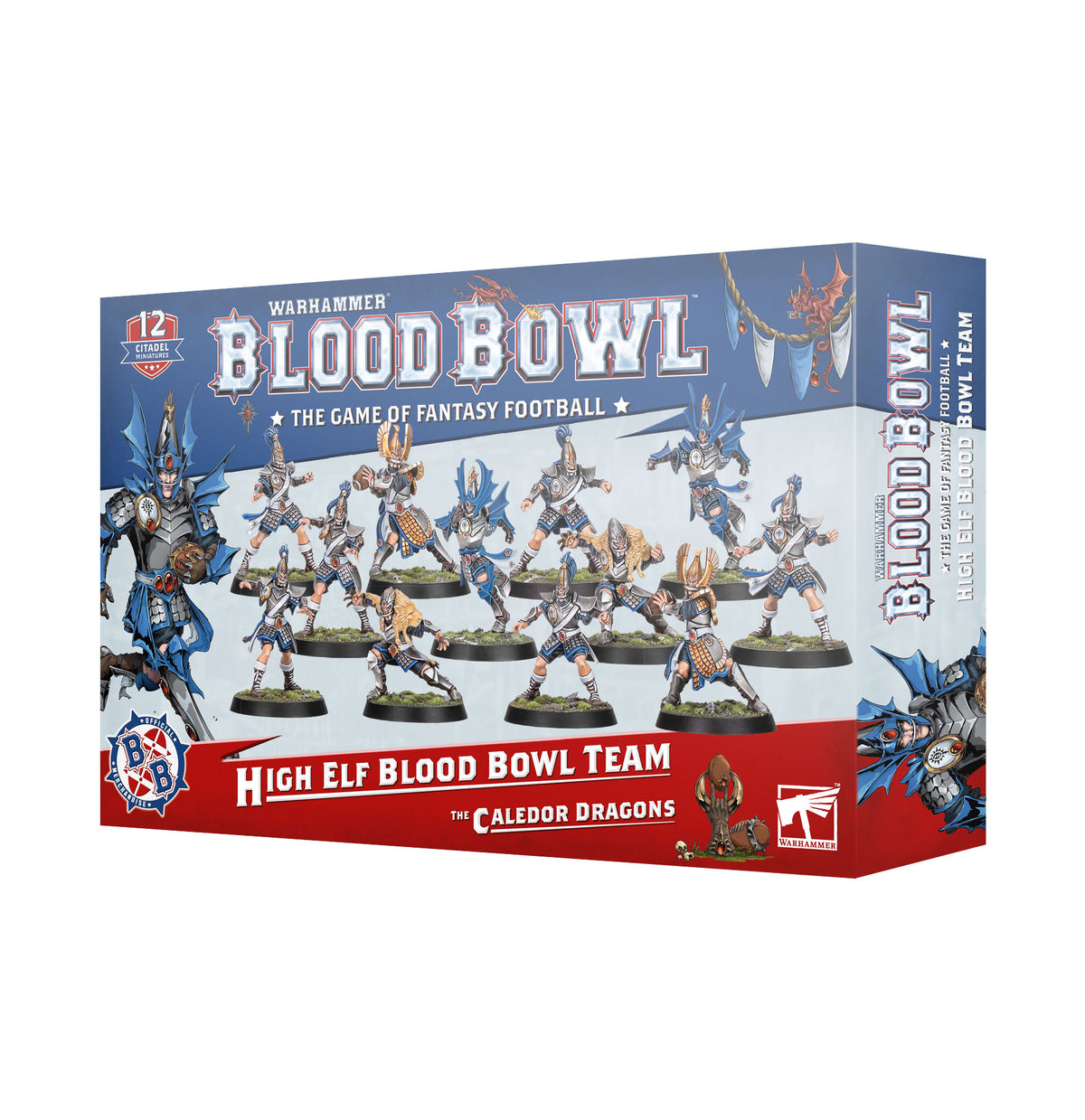 Blood Bowl: High Elf Team