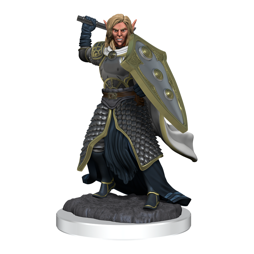D&DNMUM Elf Cleric Male W16