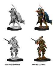 D&DNMUM Elf Rogue Male W7