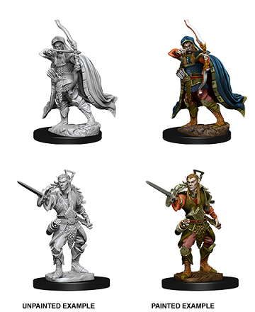 D&DNMUM Elf Rogue Male W7