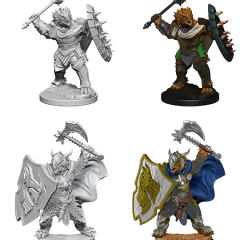 D&DNMUM Dragonborn Paladin Male W4