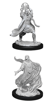 D&DNMUM Elf Sorcerer Male W11