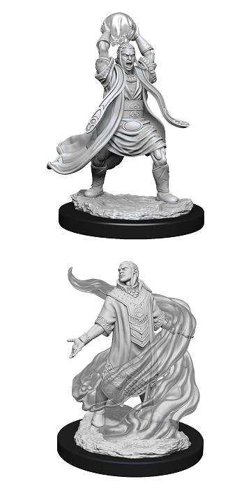 D&DNMUM Elf Sorcerer Male W11