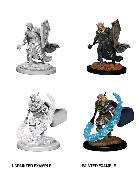 D&DNMUM Elf Cleric Male W5