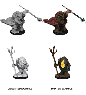 D&DNMUM W9 Tortle Adventurers