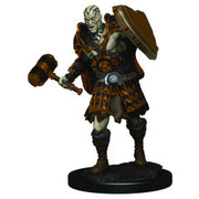 D&D ICONS: Goliath Fighter Male