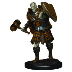 D&D ICONS: Goliath Fighter Male