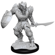 D&DNMUM Dragonborn Fighter Male W15
