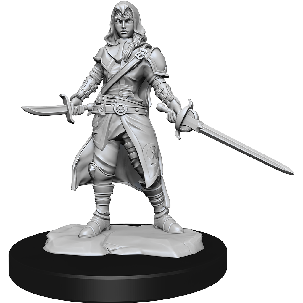 D&DNMUM Half-Elf Rogue  Female W14