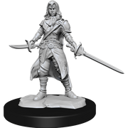 D&DNMUM Half-Elf Rogue  Female W14