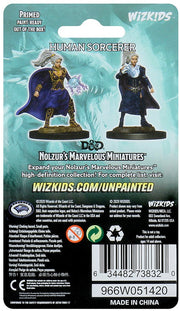 D&DNMUM Human Sorcerer Female W10