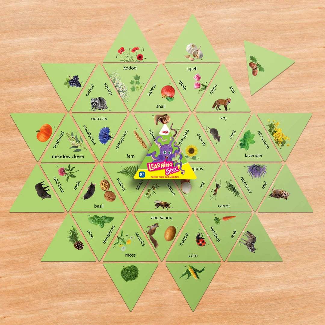 Learning Star â€“ Forest, Field and Meadow 8+