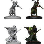 D&DNMUM Elf Druid Male W4