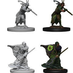 D&DNMUM Elf Druid Male W4
