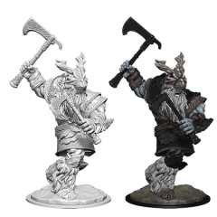 D&DNMUM Frost Giant W6