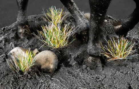 Frosty Grass Tufts