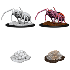 D&DNMUM Giant Spider and Egg Clutch W12