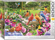 Bird Gathering 2000pc