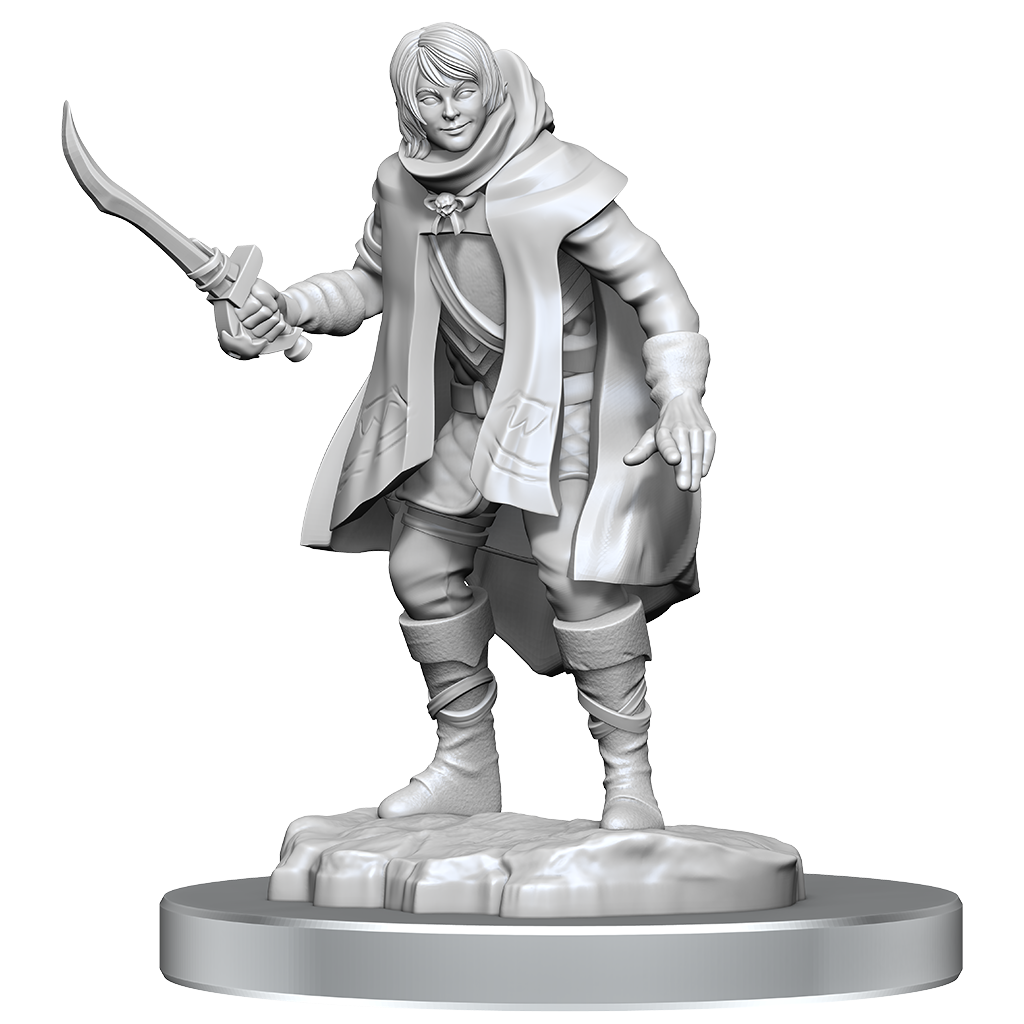 D&DNMUM Elf Rogue & Half-Elf Rogue Protege W19