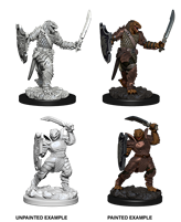 D&DNMUM Dragonborn Paladin Female W5