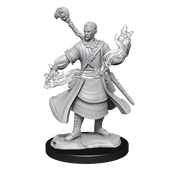 D&DNMUM Half-Elf Wizard Male W14