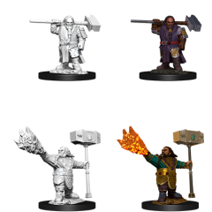 D&DNMUM Dwarf Cleric Male W11