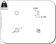 Rare Earth Magnet 0.25x 0.1 50ct