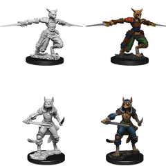 D&DNMUM Tabaxi Rogue Female W9