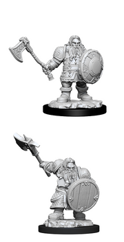 D&DNMUM Dwarf Fighter Male W11