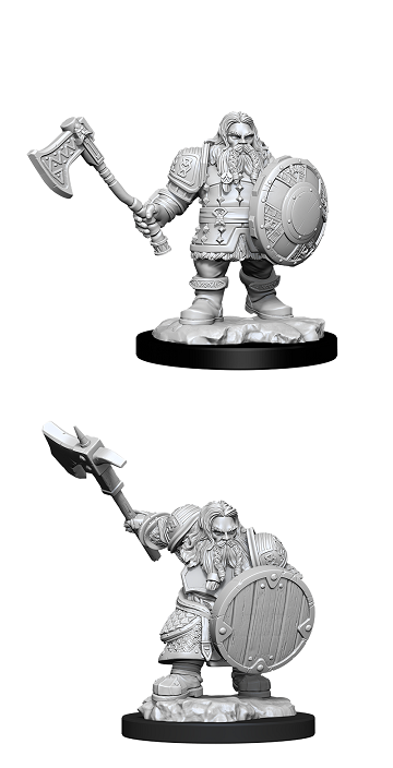 D&DNMUM Dwarf Fighter Male W11