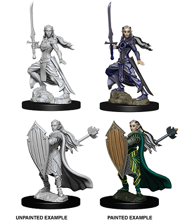 D&DNMUM Elf Paladin Female W9
