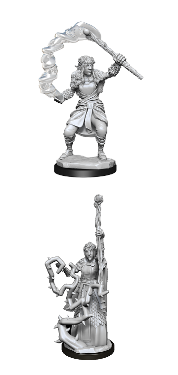D&DNMUM Firbolg Druid Female W13