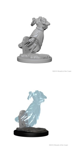 D&DNMUM Ghost & Banshee W1