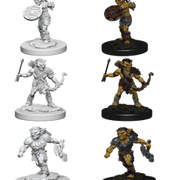 D&DNMUM Goblins W1
