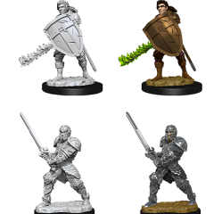 D&DNMUM Human Fighter Male W8