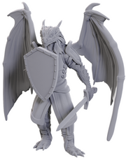 D&DNMUM W25 Dragonborn of Bahamut