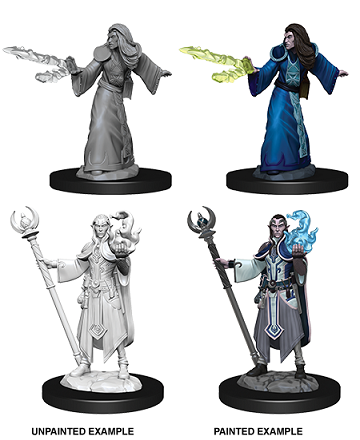 D&DNMUM Elf Wizard Male W9