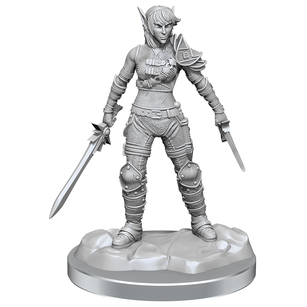 D&DNMUM Elf Rogue & Half-Elf Rogue Protege W19