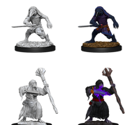 D&DNMUM Kenku Adventurers W10