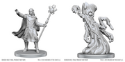D&DNMUM W28 Drow Mage & Yochlol