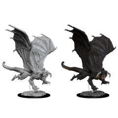 D&DNMUM Young Black Dragon W8